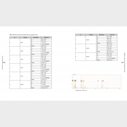 Skarb Średzki. Trzydziestolecie odkrycia