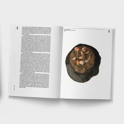 The Collection of the Polish Art of the 2nd Half of the 20th Century and the Early 21st Century