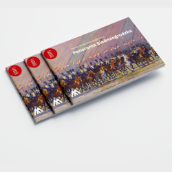 Panorama Siedmiogrodzka