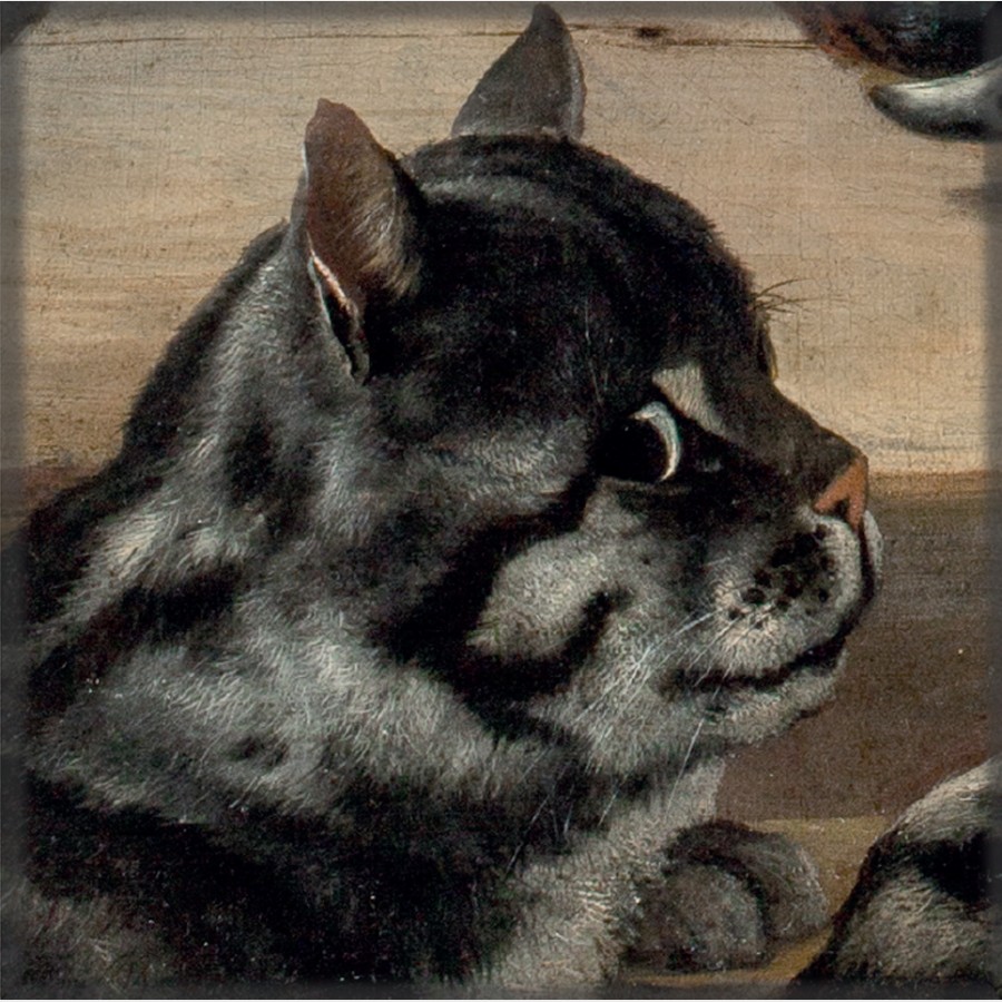 Magnes – Jan Fyt (?), Kot w spiżarni, 1652 [fragment]