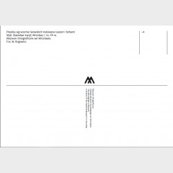 Pocztówka – Pisanka wg wzorów lwowskich malowana tuszem i farbami