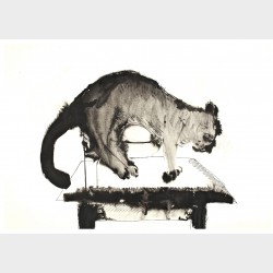 Pocztówka – Marek Oberländer, Kot