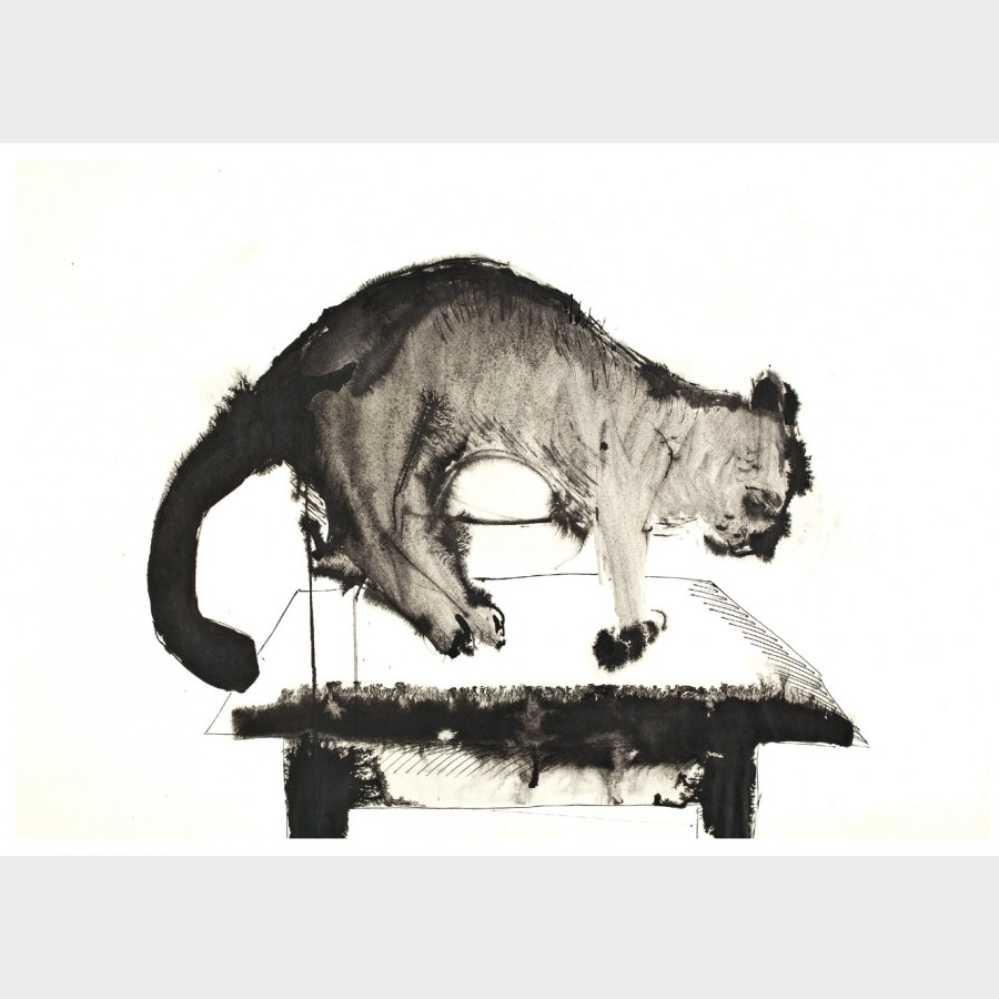 Pocztówka – Marek Oberländer, Kot