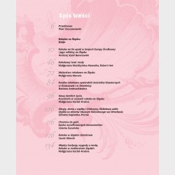 Szaleństwo rokoka! Fascynacja rokokiem na Śląsku (XVIII–XXI w.)