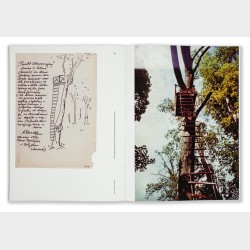 Maria Pinińska-Bereś