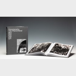 Fenomenalny. Zdzisław Beksiński