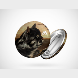 Przypinka – Jan Fyt (?), Kot w spiżarni, 1652 [fragment]