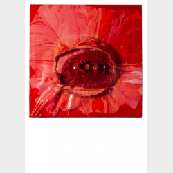 Pocztówka – Izabela Chamczyk, 03 z cyklu Toxic malarstwo performatywne