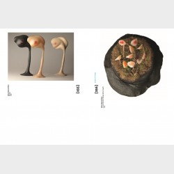 The Collection of the Polish Art of the 20th Century and Early 21st Century – A Guide